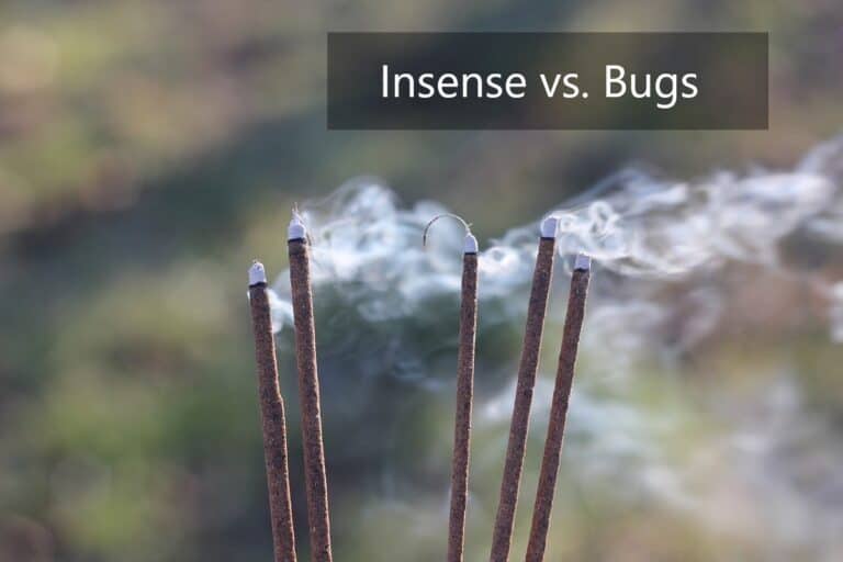 Does Incense Keep Bugs Away? (With Scent Guide) pestABC