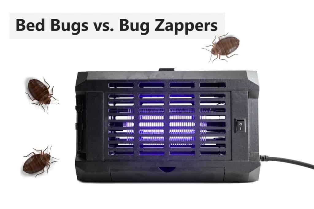 Bed Bugs and Bug Zappers (I didn’t know) – pestABC